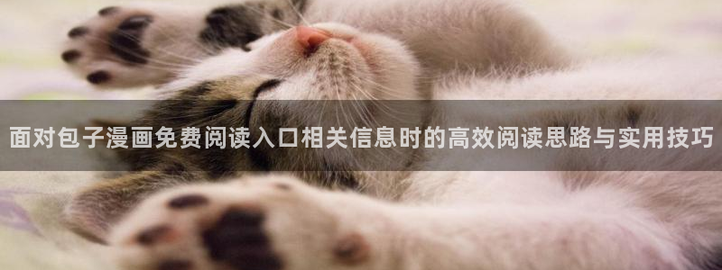 手机看漫画:面对包子漫画免费阅读入口相关信息时的高效阅读思路与实用技巧